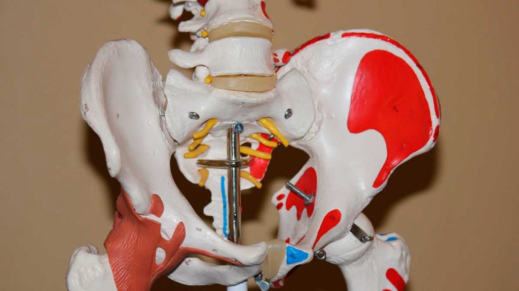 El poder del Ganoderma contra la Artritis
