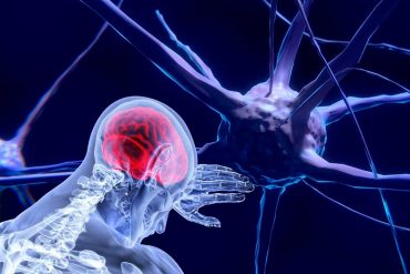 Posible prevención y neuroprotección del Ganoderma en el Alzheimer
